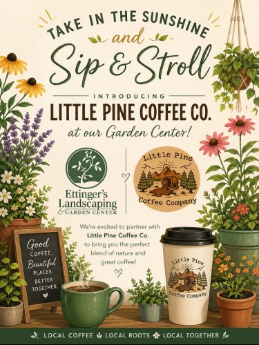 Little Pine Coffee Co.